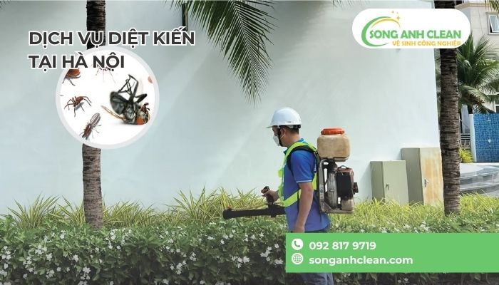 Meo-duoi-kien
