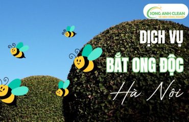 bat-ong-doc