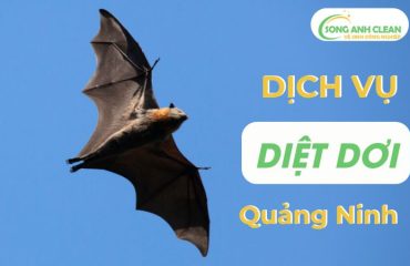 diet-doi