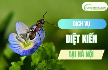 diet-kien