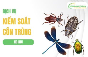 kiem-soat-con-trung