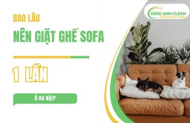 Bao-lau-nen-giat-ghe-sofa
