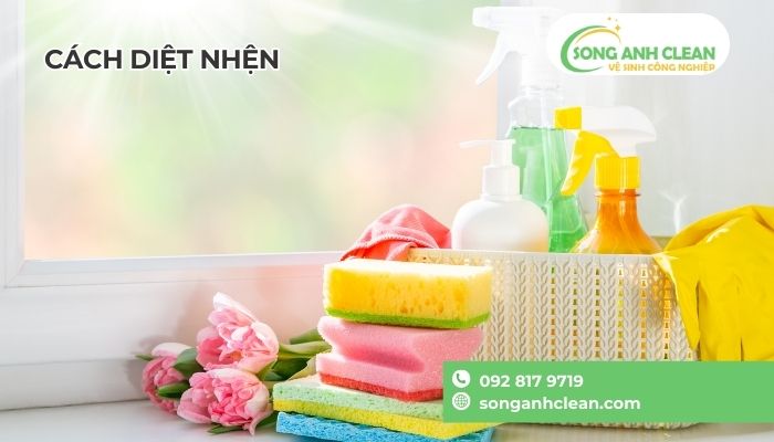 Cach-duoi-nhen-ra-khoi-nha