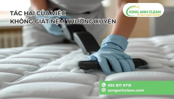 vi-khuan-nam-moc-tren-nem