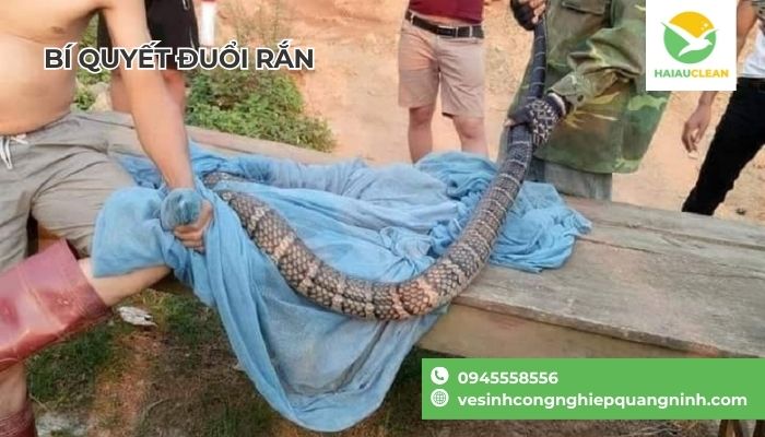 Cach-giet-ran-nhanh-nhat